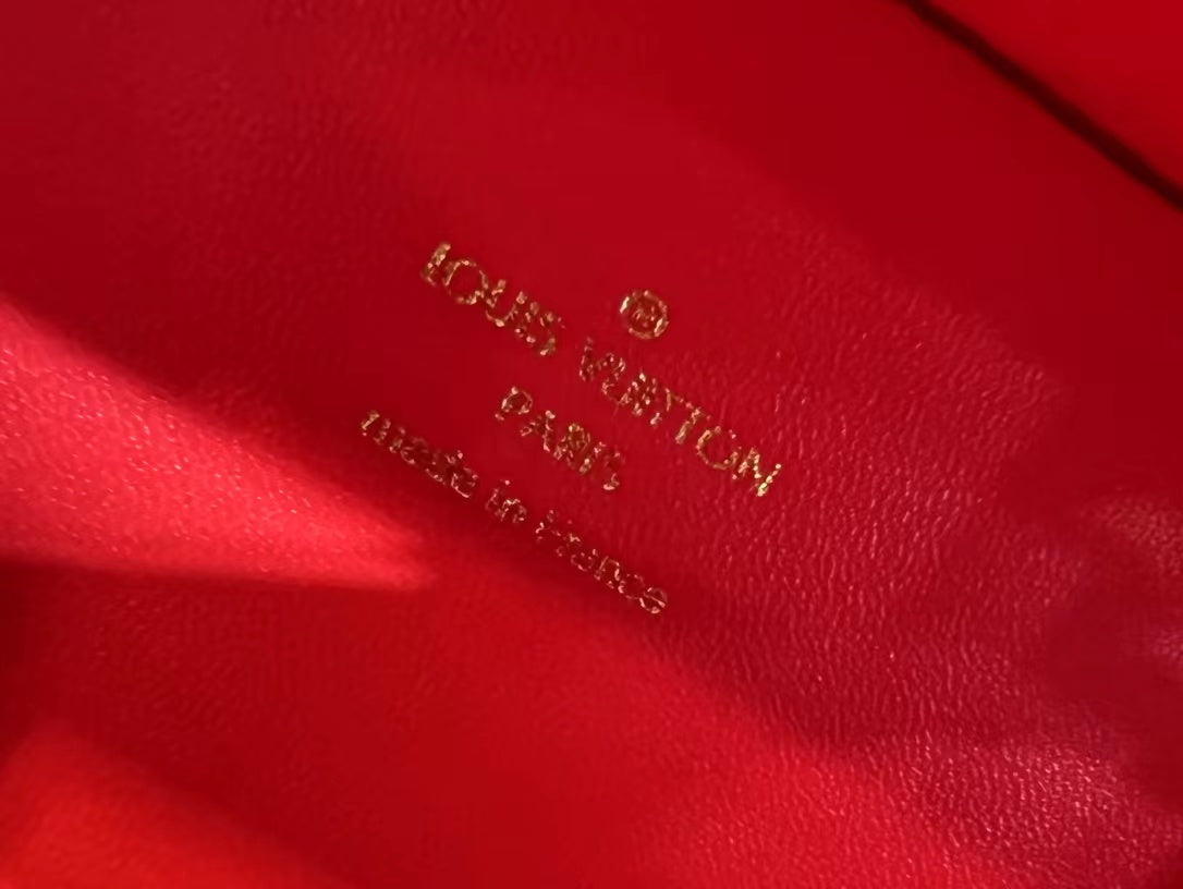2022 LV handbag hard case--3