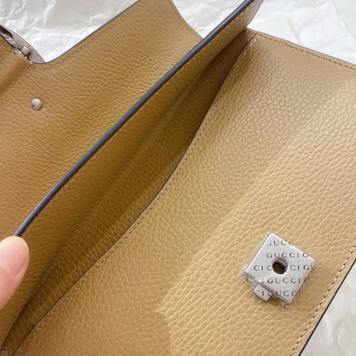 Gc π·ππππ¦π π’π  25.5cm