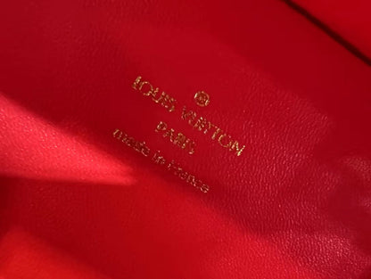 2022 LV handbag hard case--3