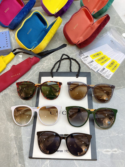Classic  frame sunglasses