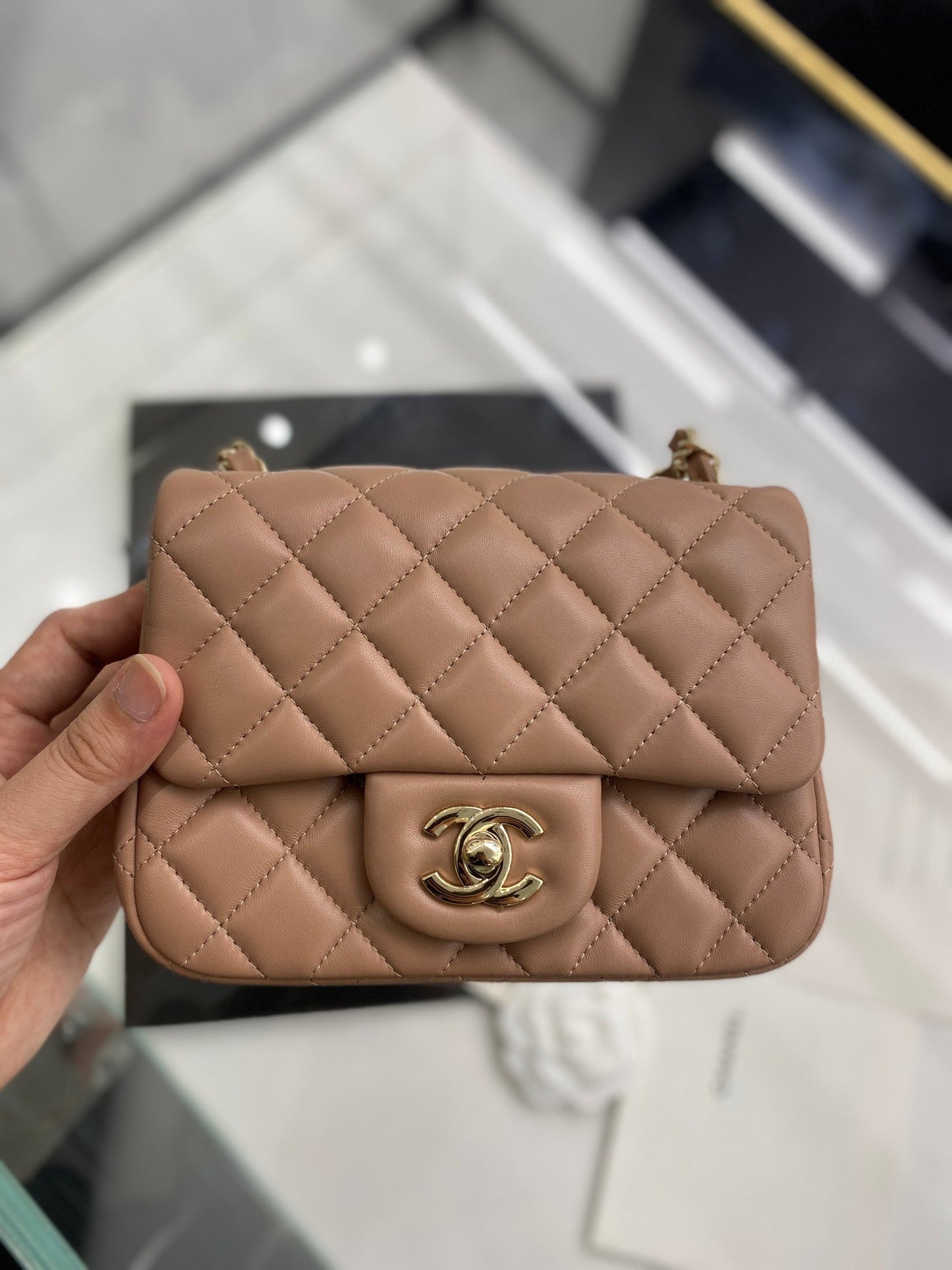 C h a n e l brown 18cm