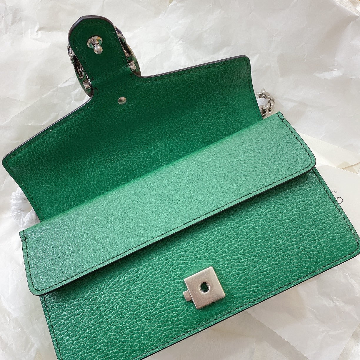 Gc 𝐷𝑖𝑜𝑛𝑦𝑠𝑢𝑠25.5cm green