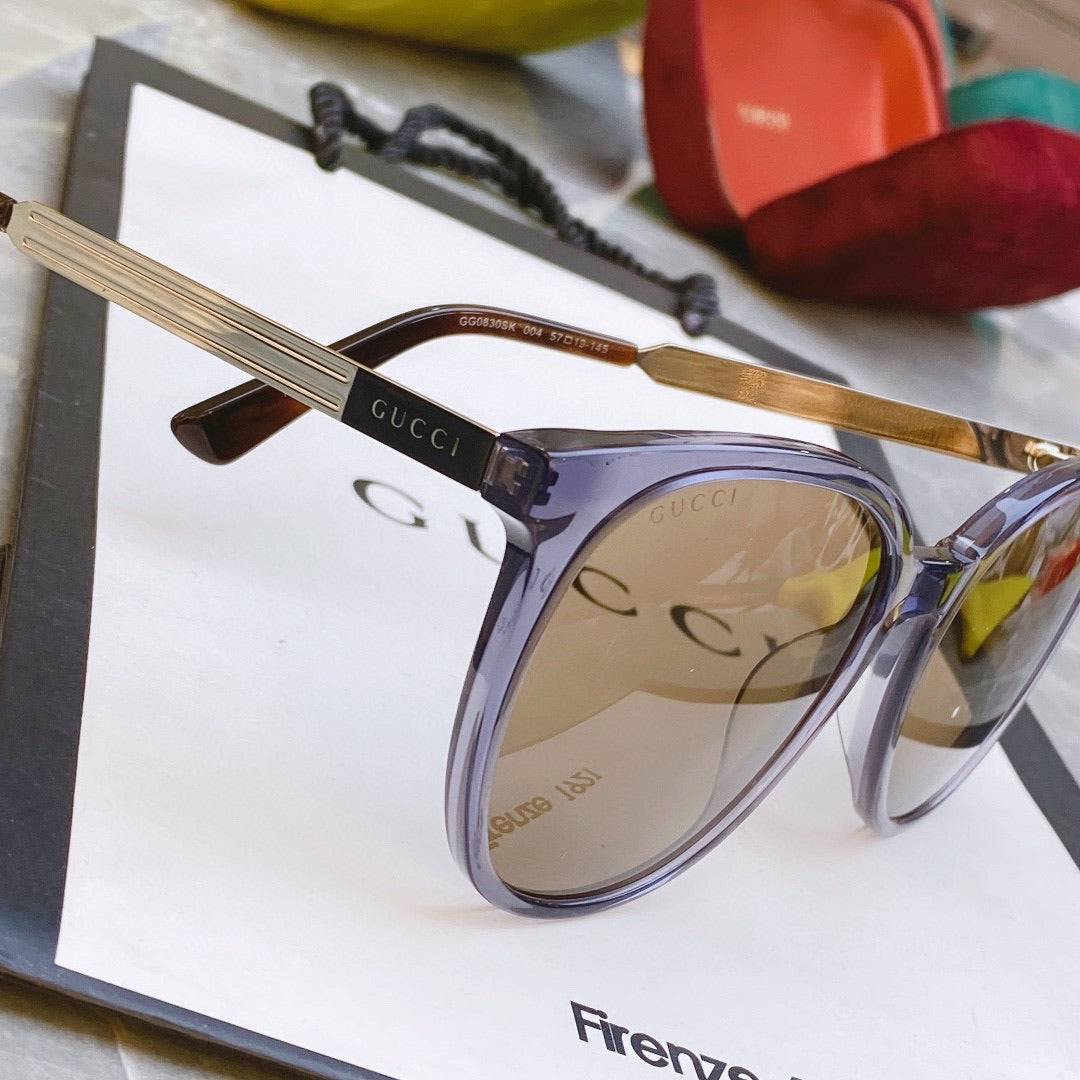 Classic  frame sunglasses