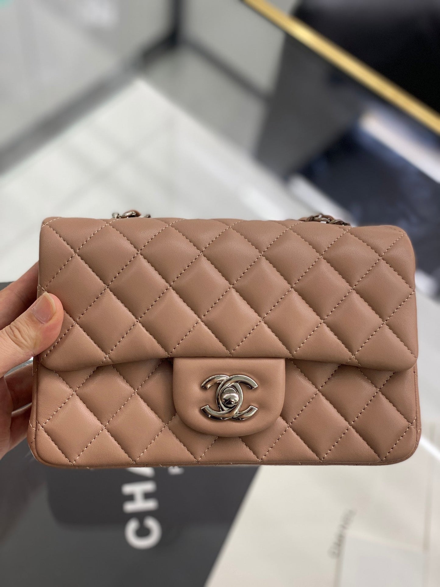 C h a n e l brown 22cm